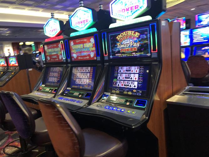 161bet é confiável Veja como funciona a plataforma e saiba se vale a pena apostar nela